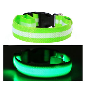 LED Dog Collar