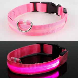 LED Dog Collar