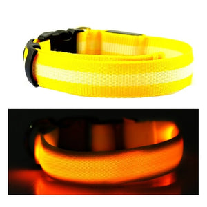 LED Dog Collar