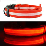 LED Dog Collar