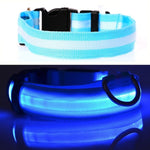 LED Dog Collar